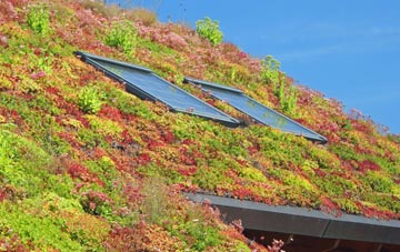 Gwersyllt living roof systems