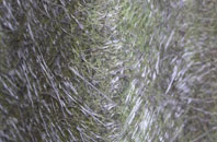 Gwersyllt fibreglass roof work